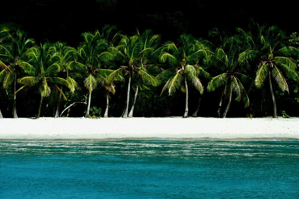 MorganMaassen_Lifestyle - 35.jpeg