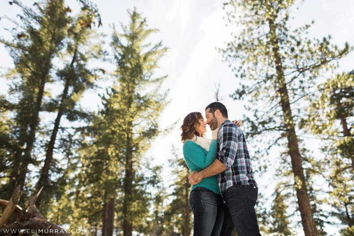 Engagement Portraits