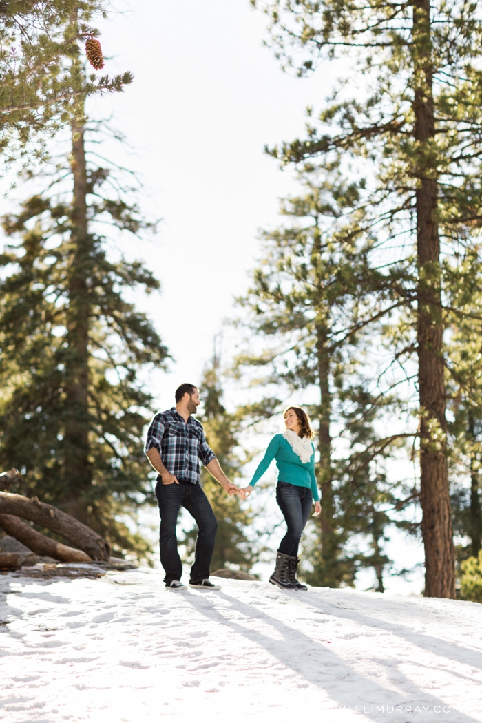 photos in the snow