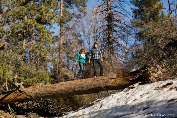 Couple walking on a log in nature