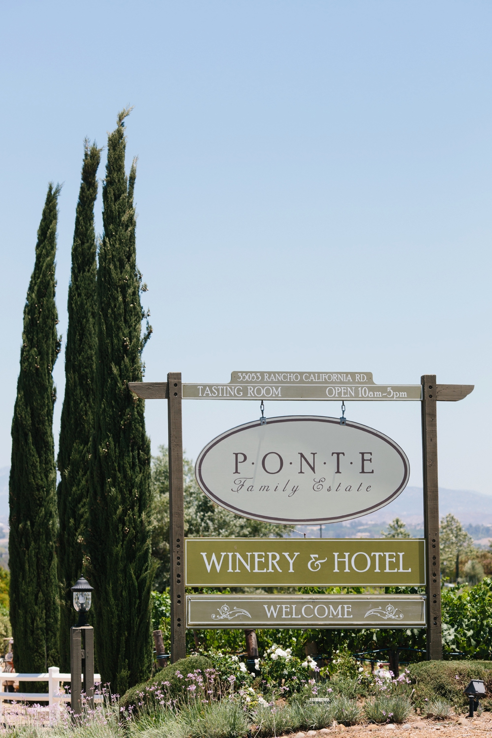 ponte winery wedding