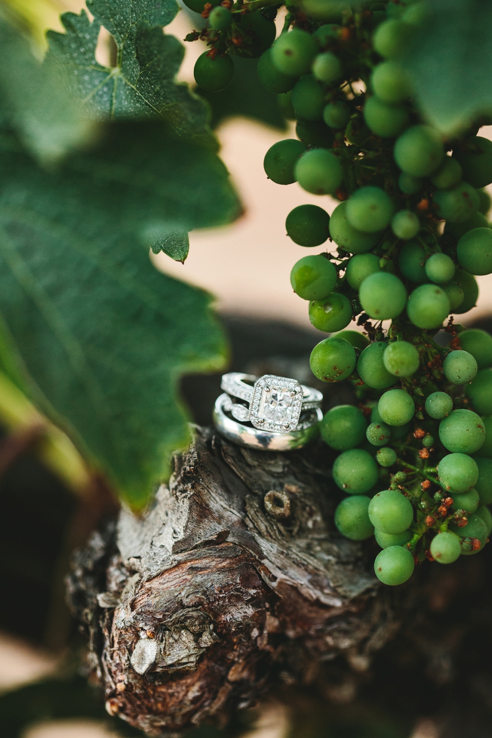 vineyard wedding ring shot 