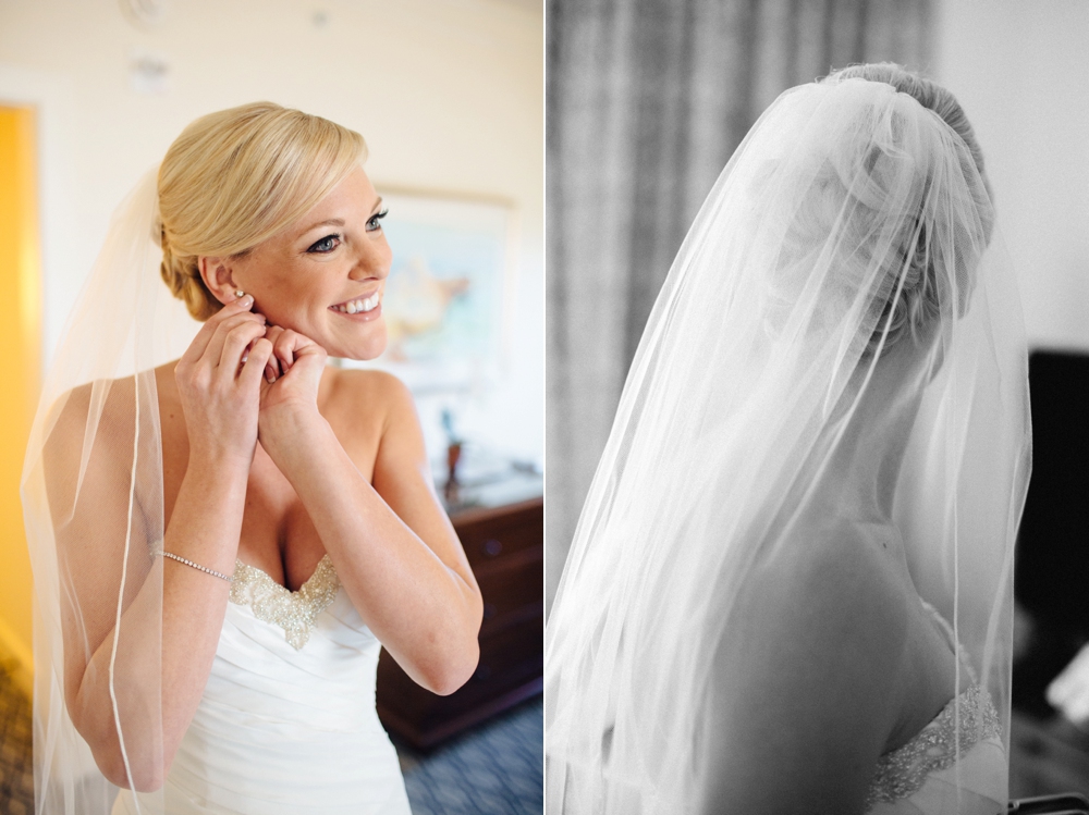 Bridal veil black and white 