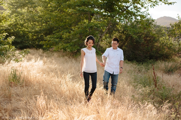 Engagement Session in South County