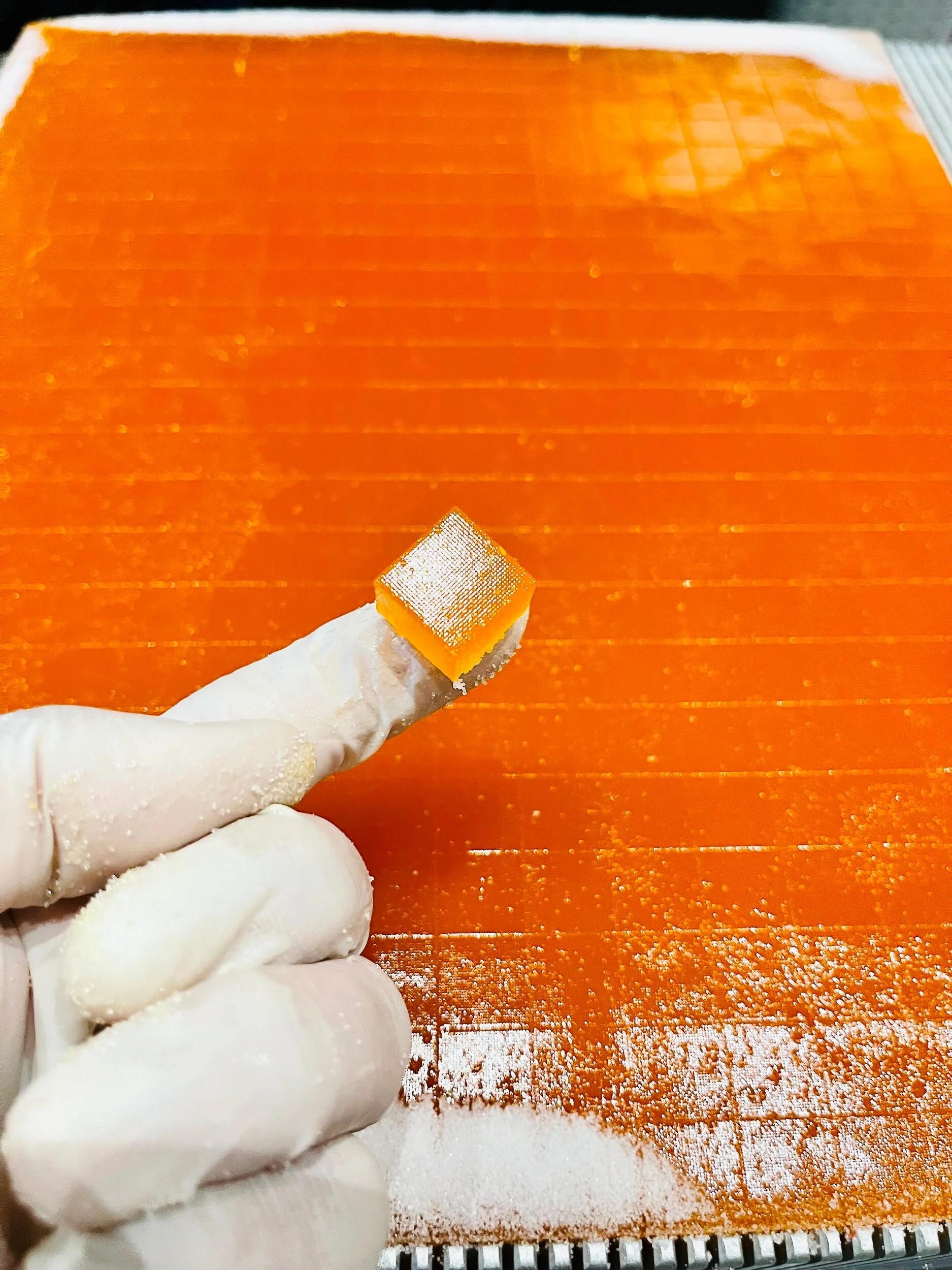 13D4C1B8-47E5-4275-87FA-93A861FC124E