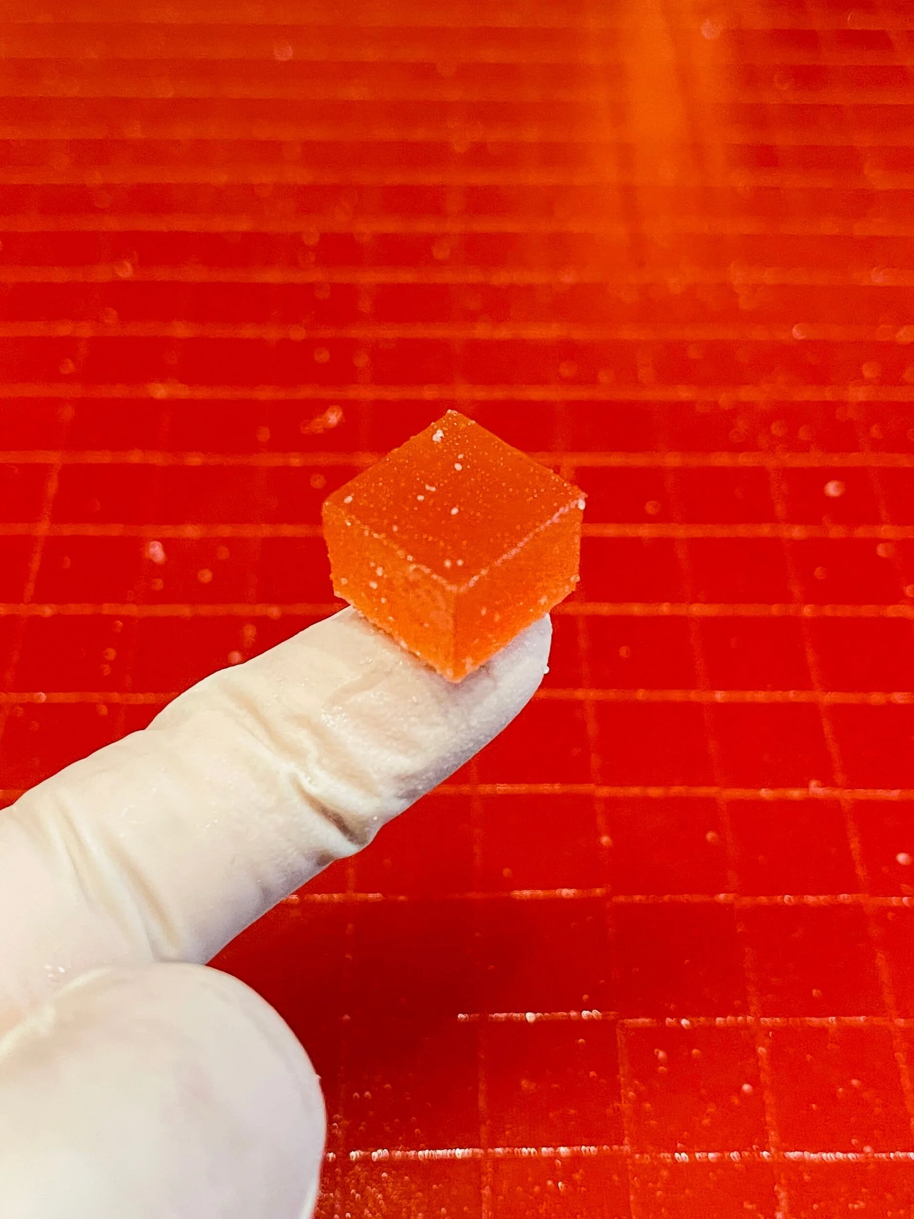 2A4A031F-5818-4615-B22C-F3F734CFD988