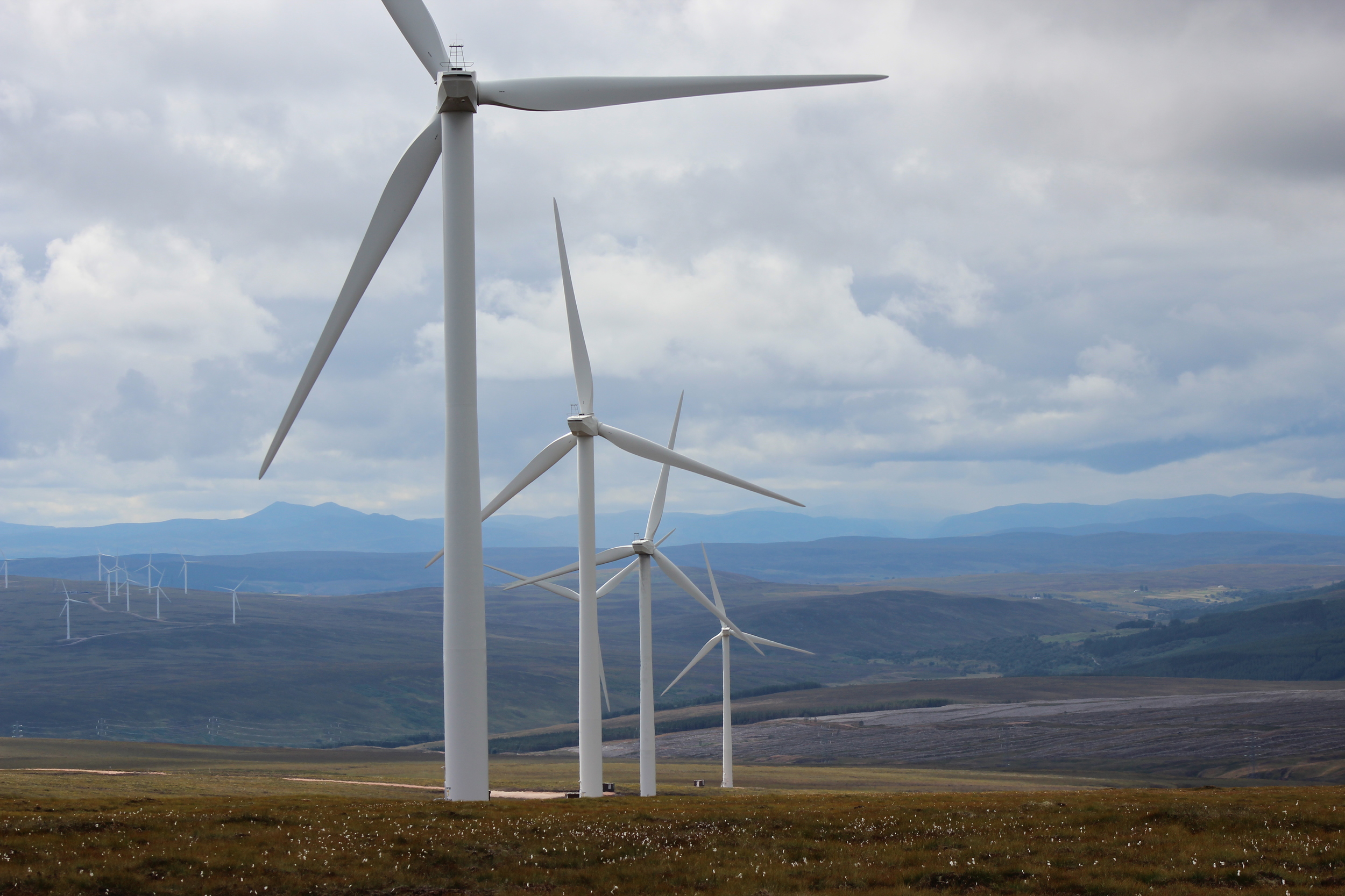   Onshore Renewables Wind Energy   We provide landscape design and environmental impact assessment services for small and large scale onshore wind projects   Learn More  