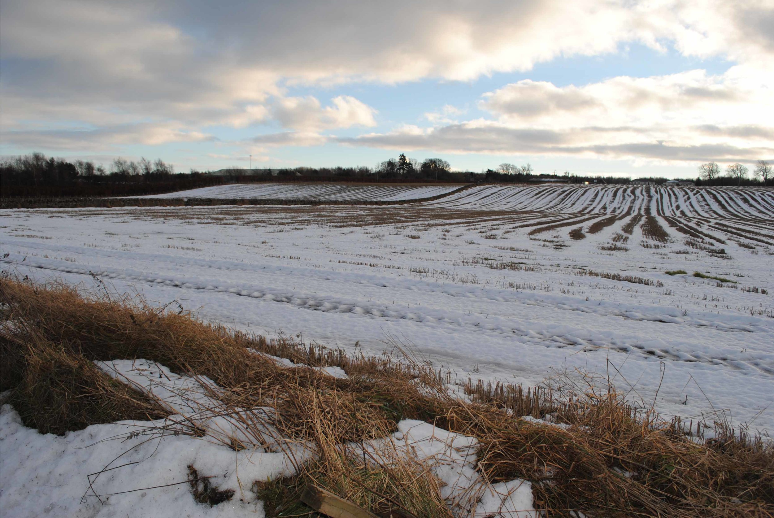 Perth Landscape Cap Field w Snow.jpg