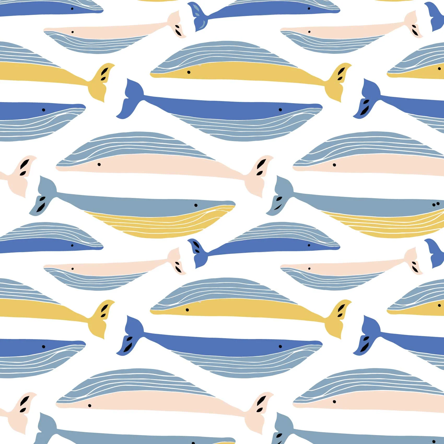 whales-for-web.jpg