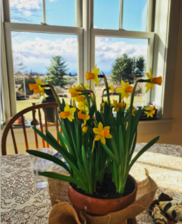 Enjoying spring on the inside and winter on the outside while on a Formosa Quartet tour in Vermont