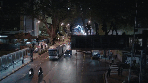 Animated GIF-downsized_large.gif