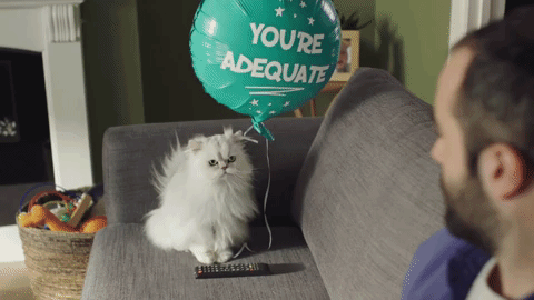 Animated GIF-downsized_large (1).gif