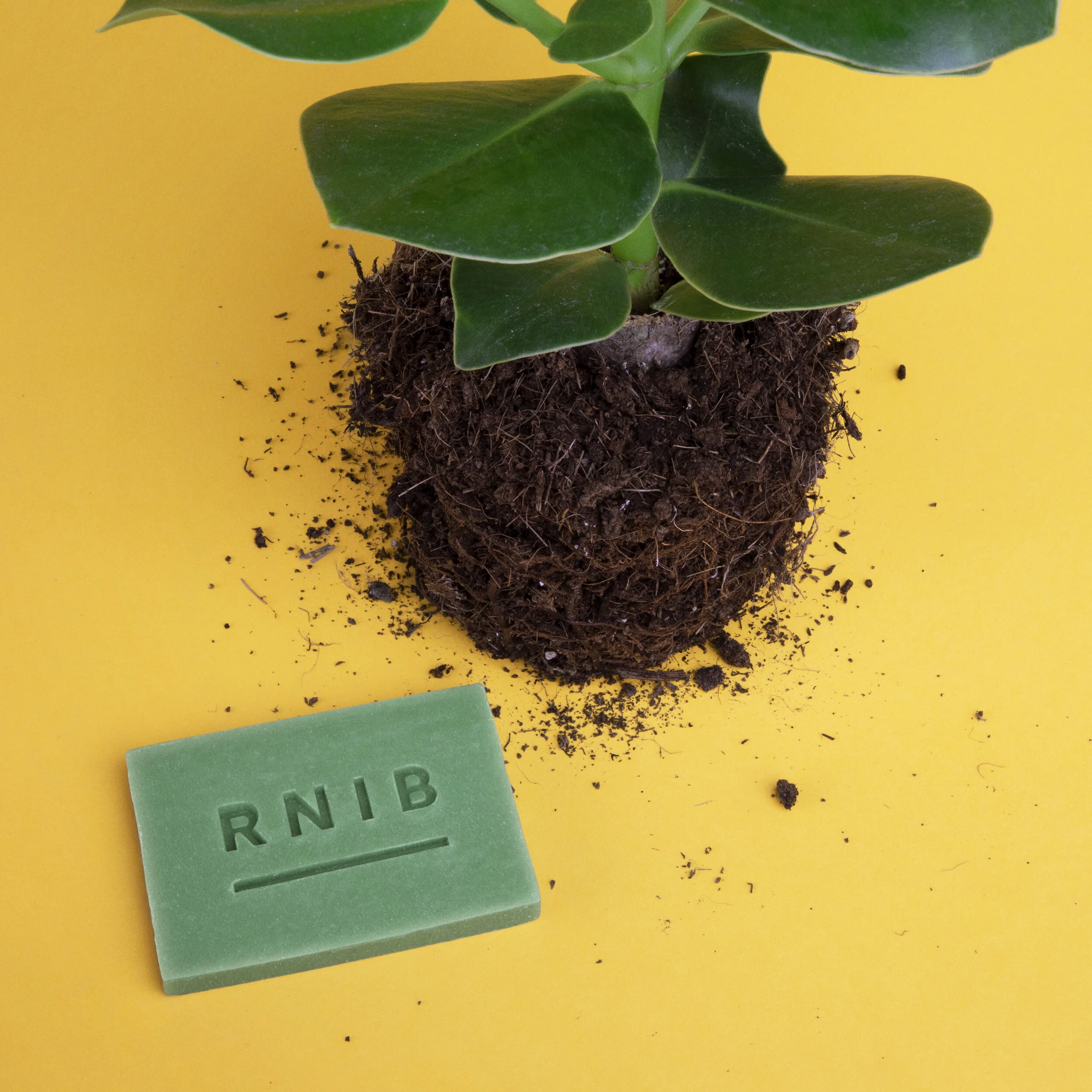 RNIB_press_4000_soap2.jpg