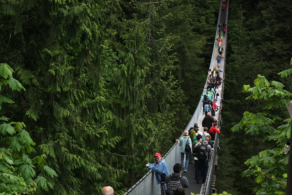 Capilano suspension bridge, Vancouver, B.C.