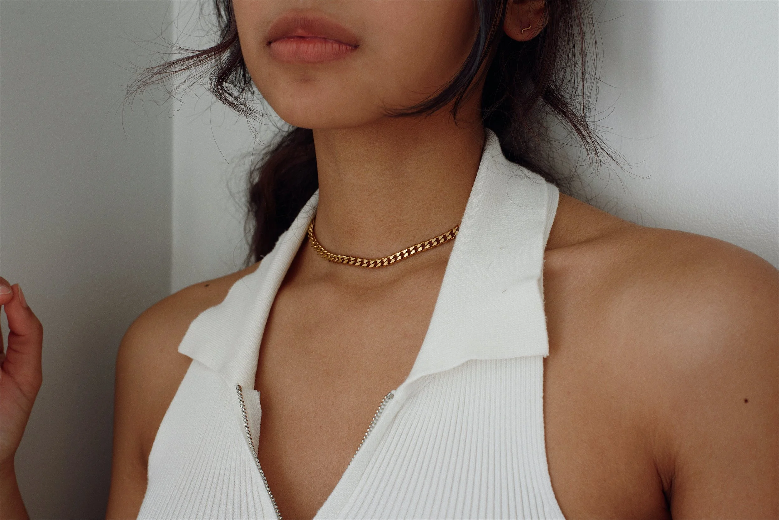 vices chain .JPG