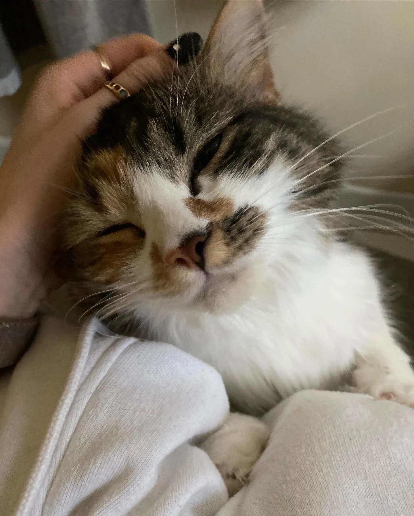 1877761C-0D87-421C-BE1F-1442557595A7