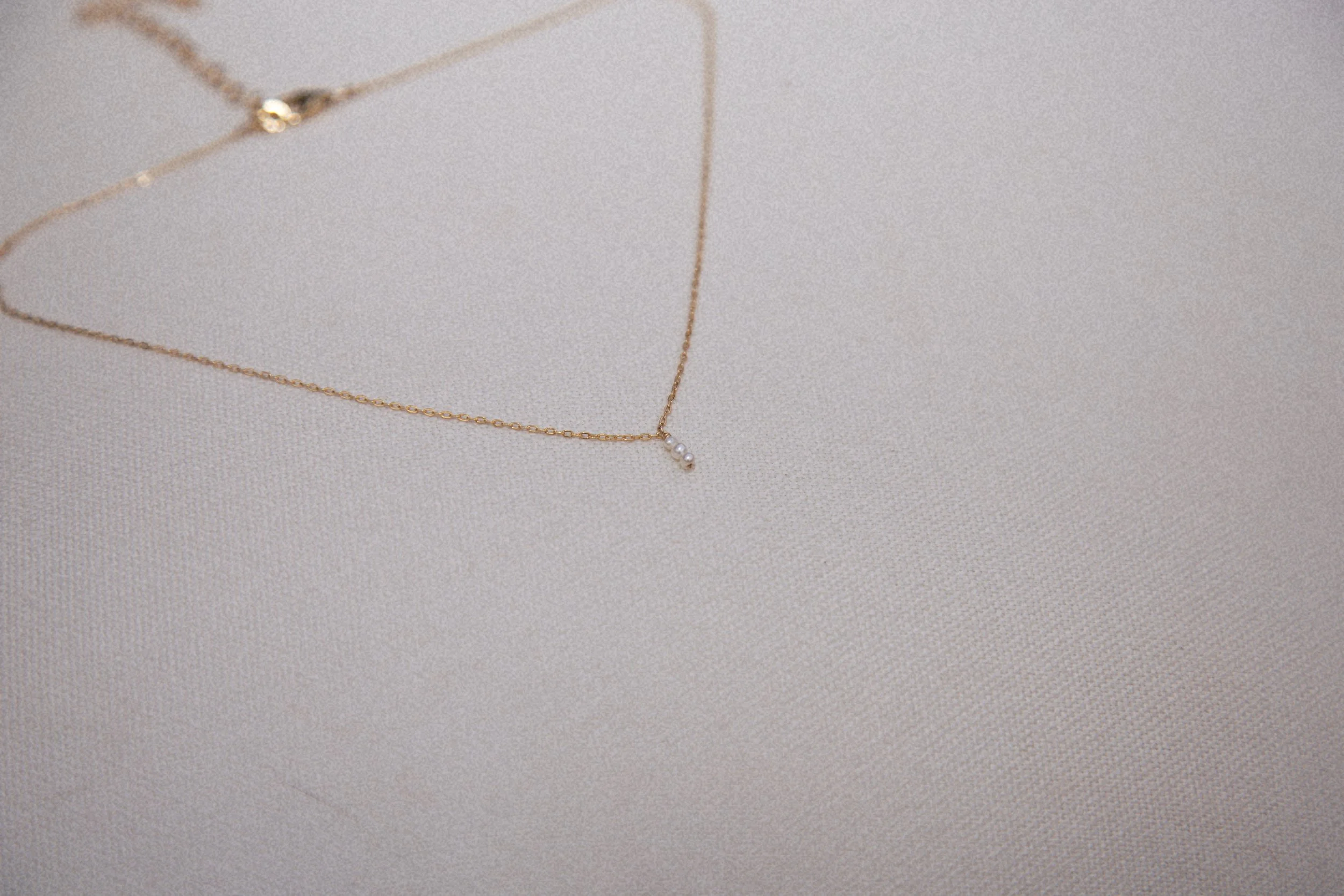 The Lady Chain 2.JPG