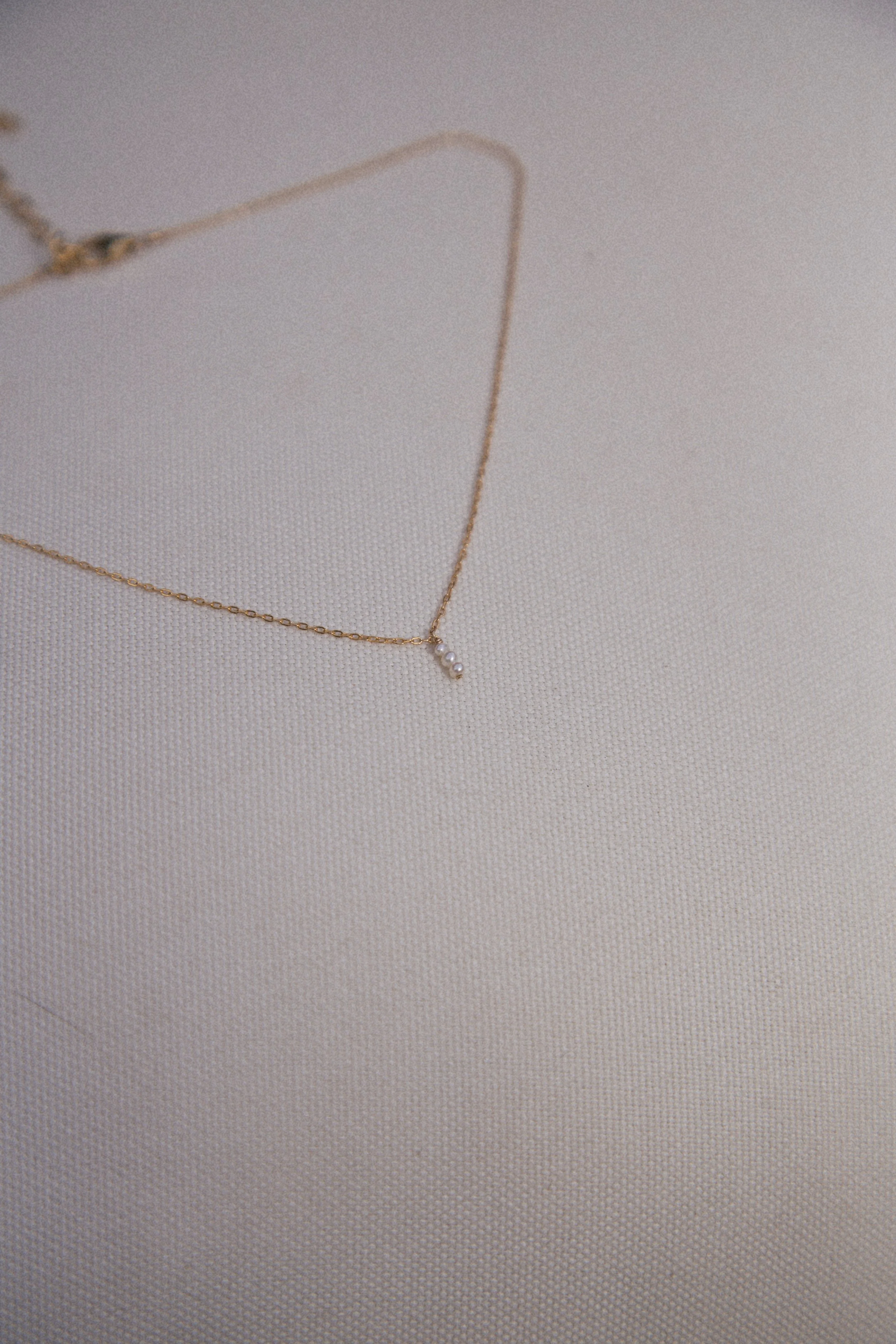 The Lady Chain.JPG