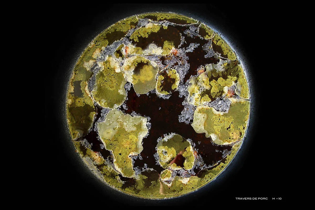 "Fried pork ribs H+10" / 2006 / Teflon pan / digital photography / 27x41cm