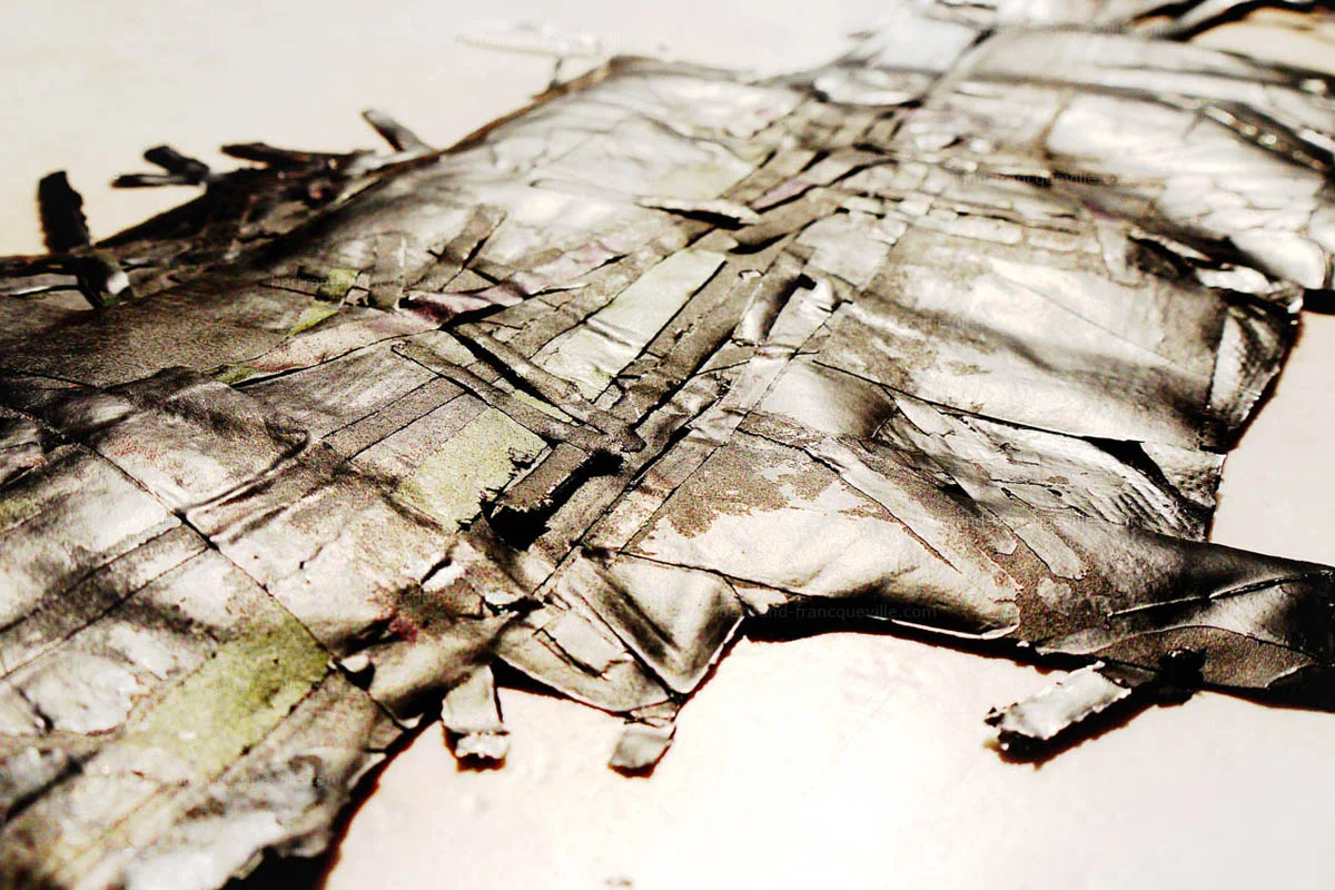 "Black rhizome" / 2013 / indian ink and paper / 70x40cm