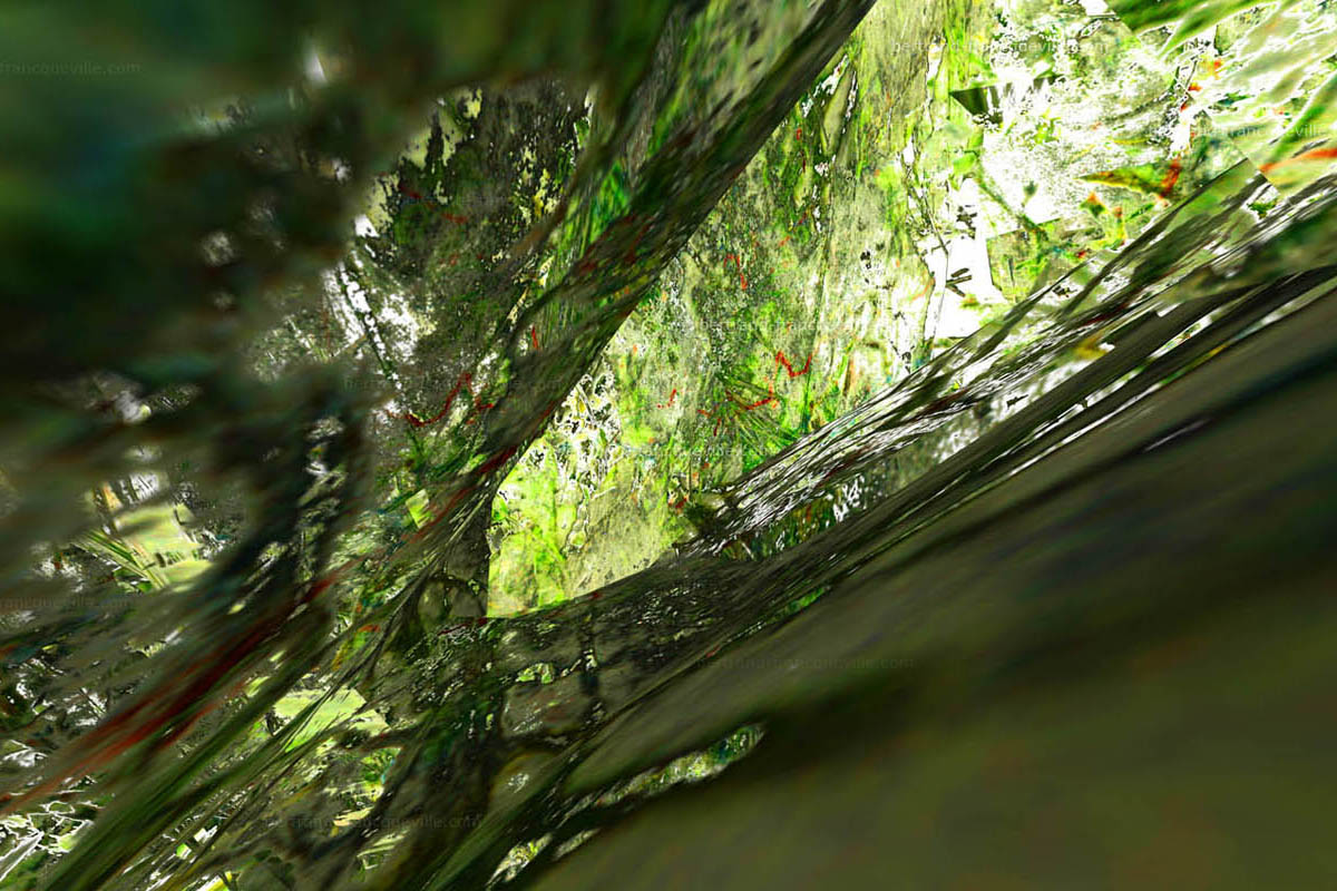"Digital mangrove" / 2012 / "crumpled" 3D animation