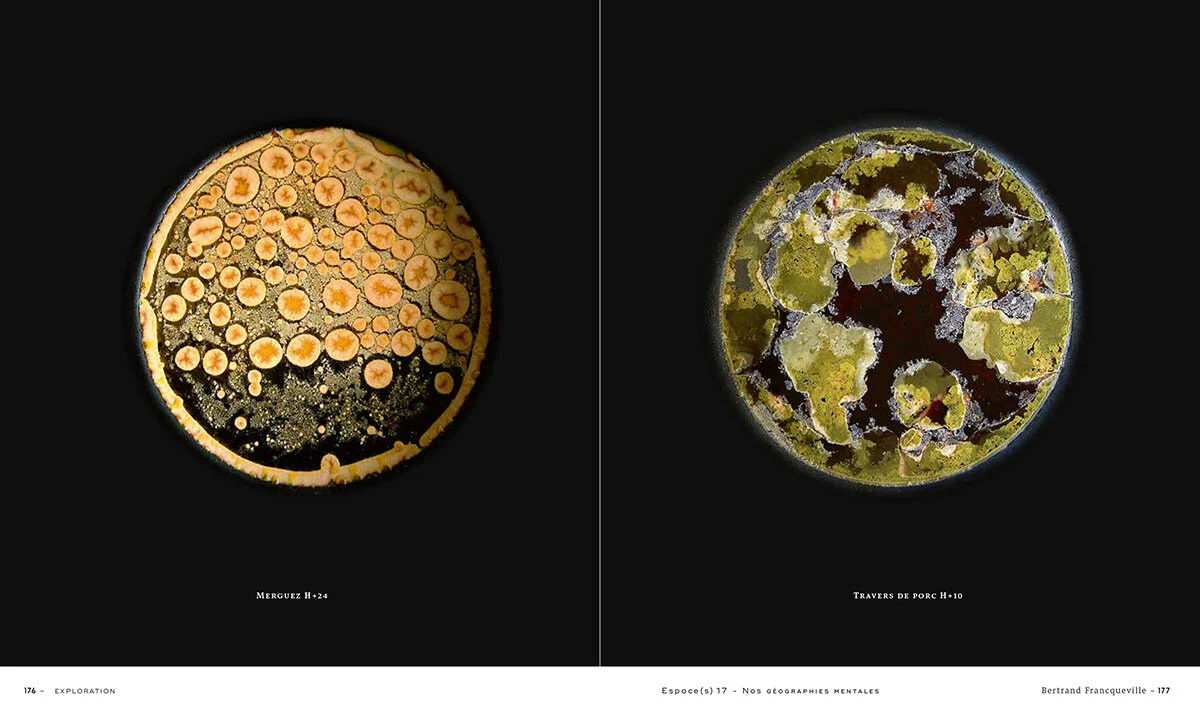 "Ma Terre Grasse" - édition du CNES n°17 “nos géographies mentales”