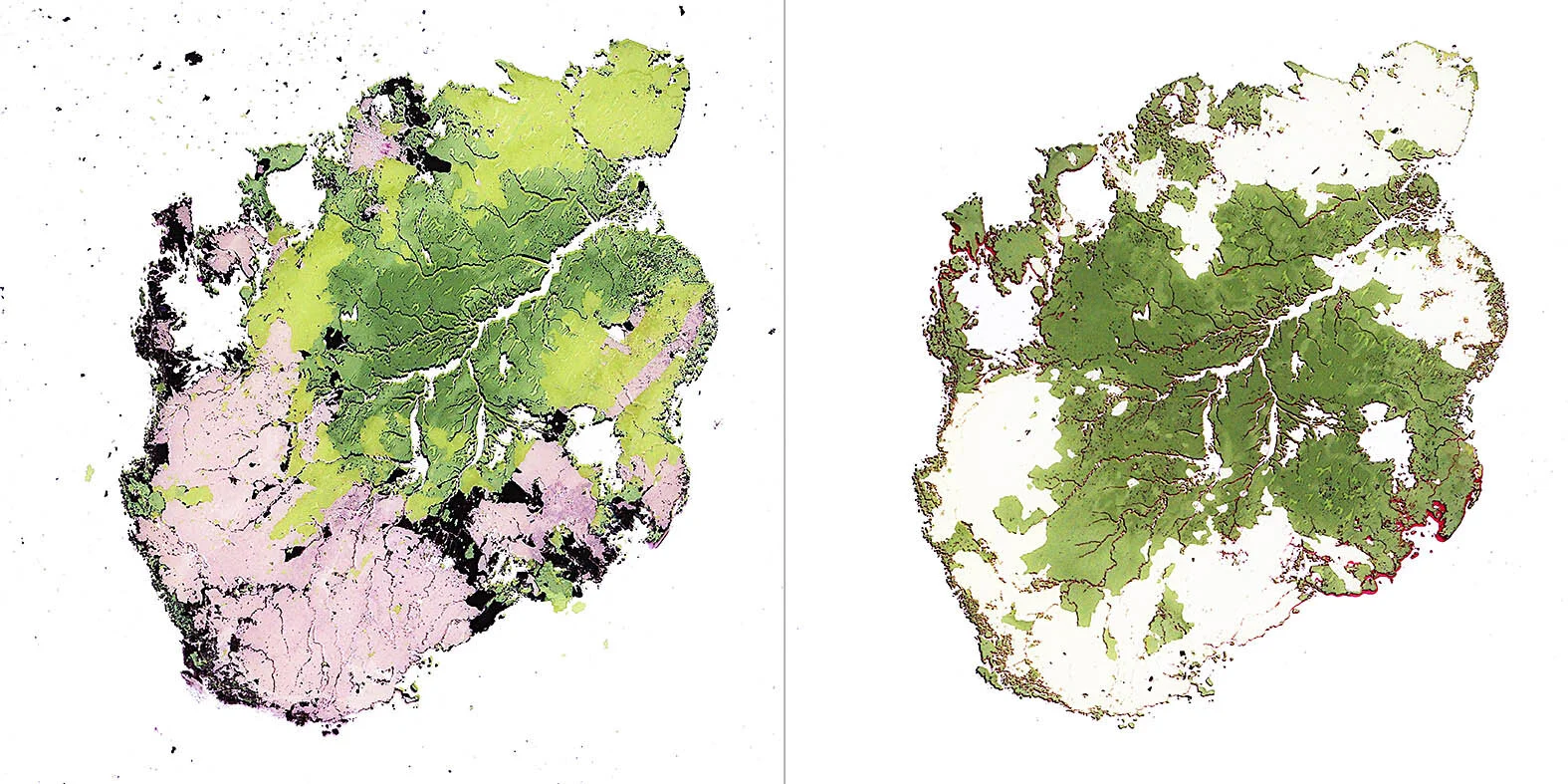 "Feuilles-Forêts" - Amazonie 1 et 2