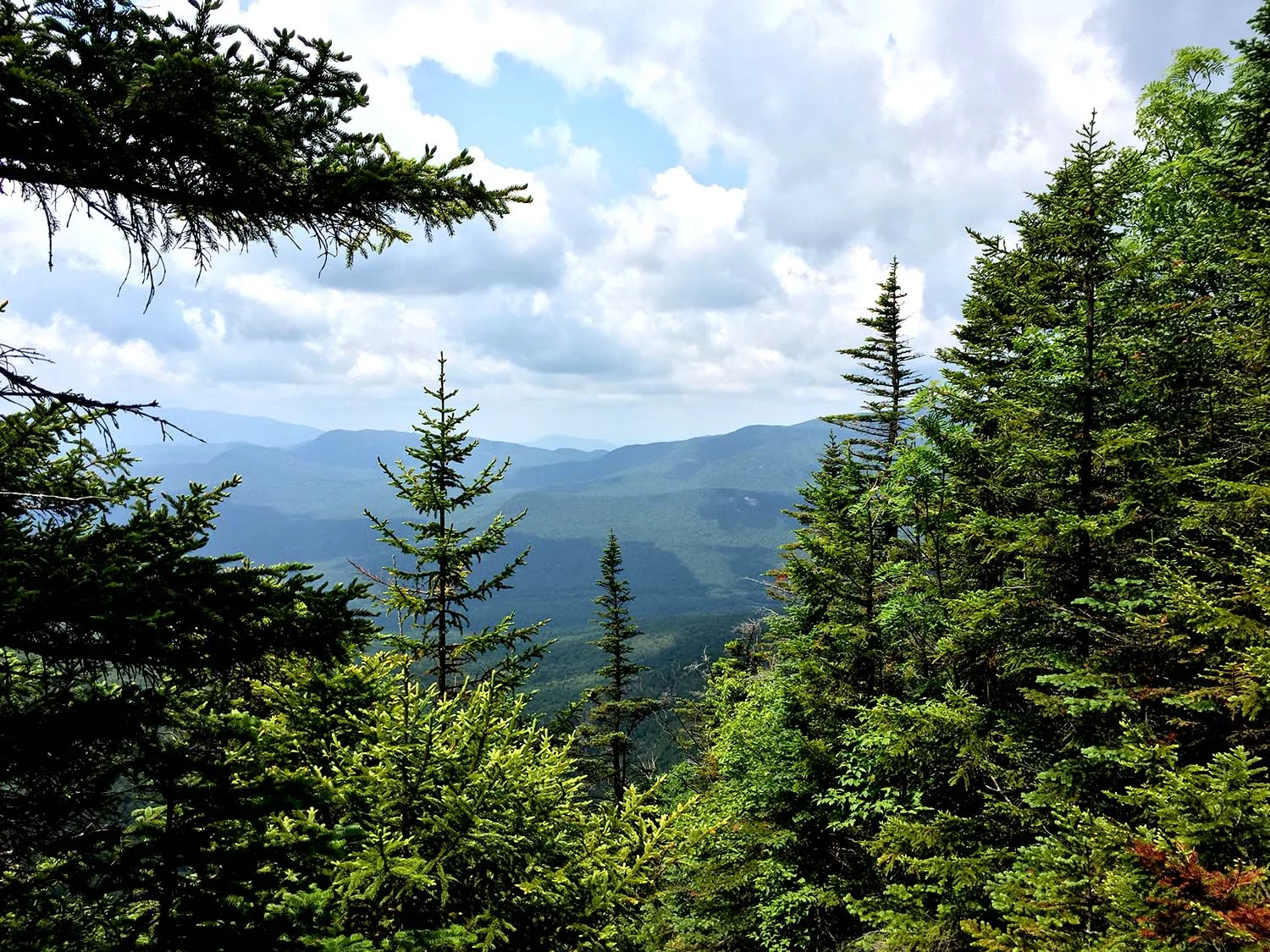 // Kinsman Ridge Trail