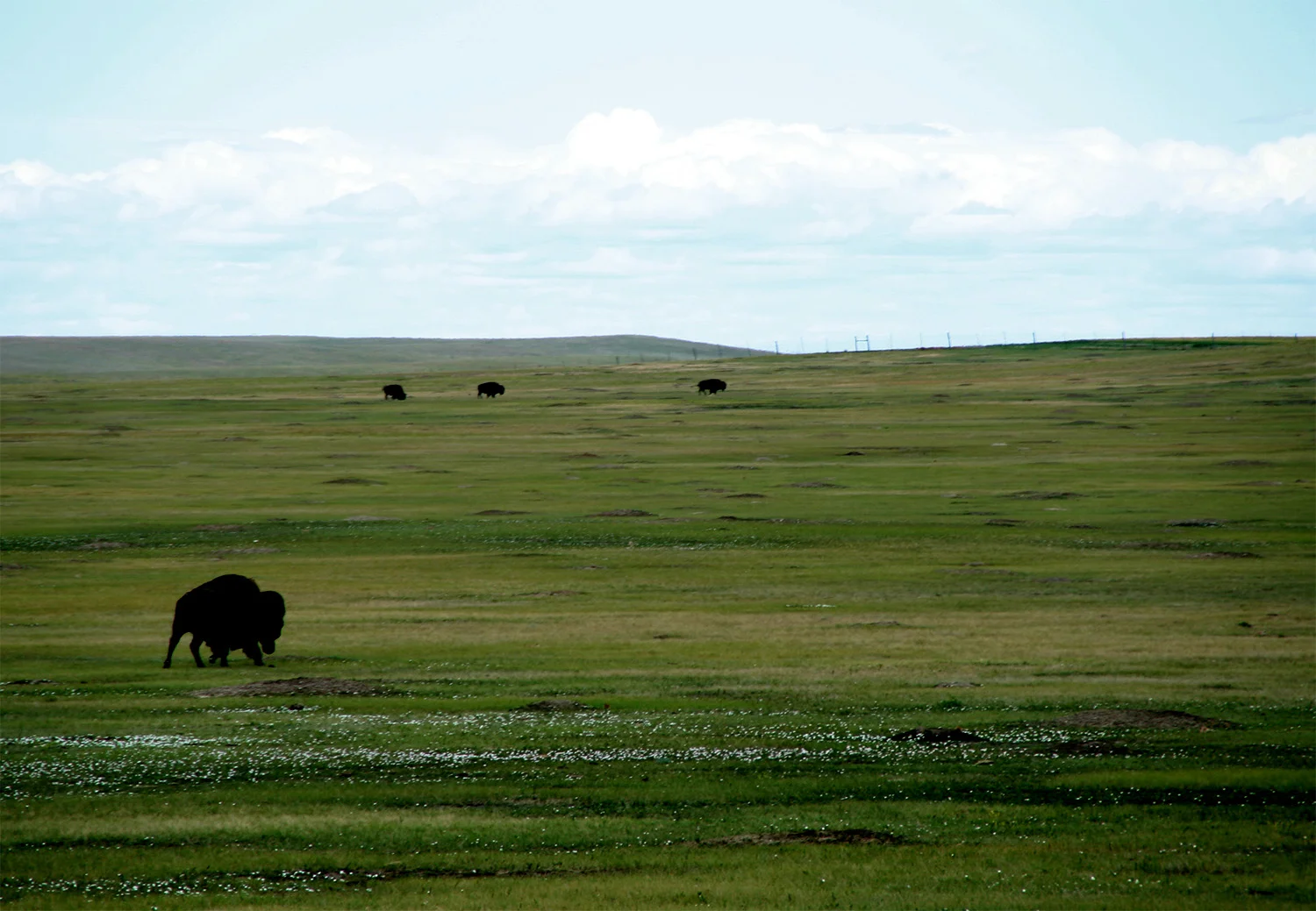 // Badlands National Park, South Dakota