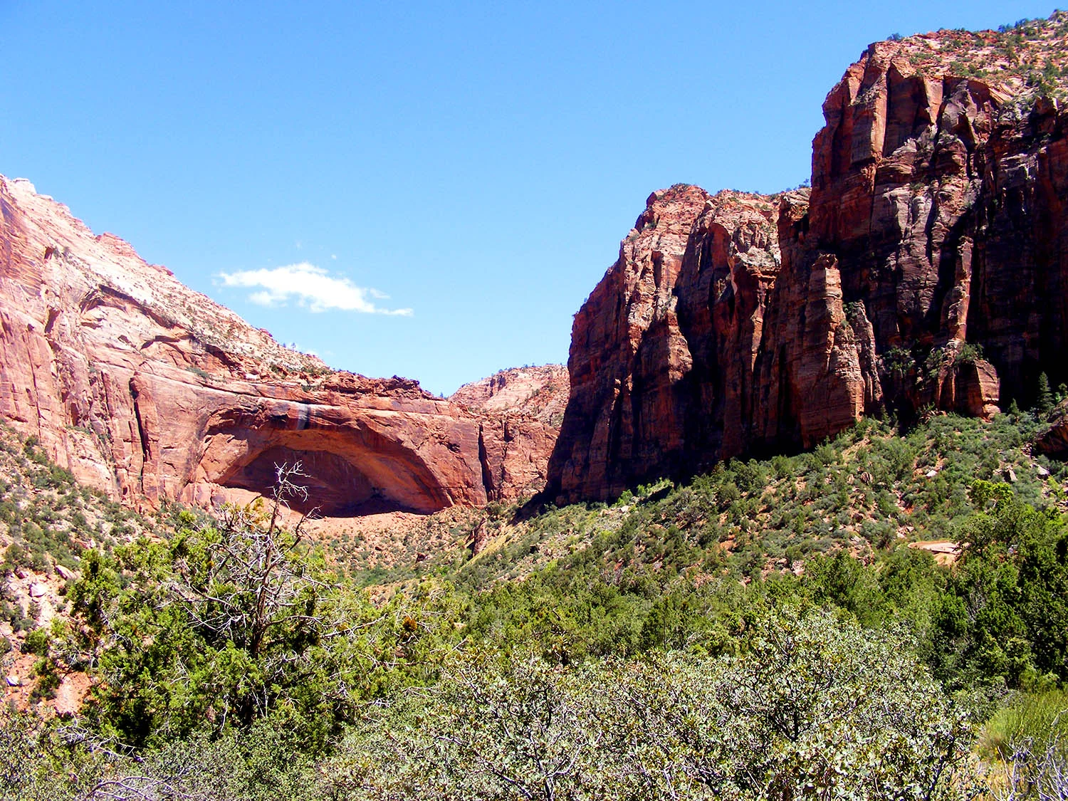 // Zion Canyon National Park