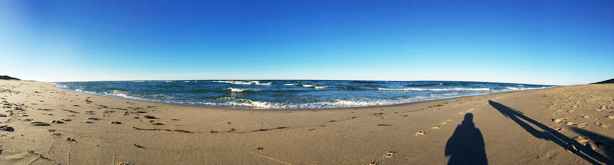 // Atlantic Ocean, and some seals fishing off the shore