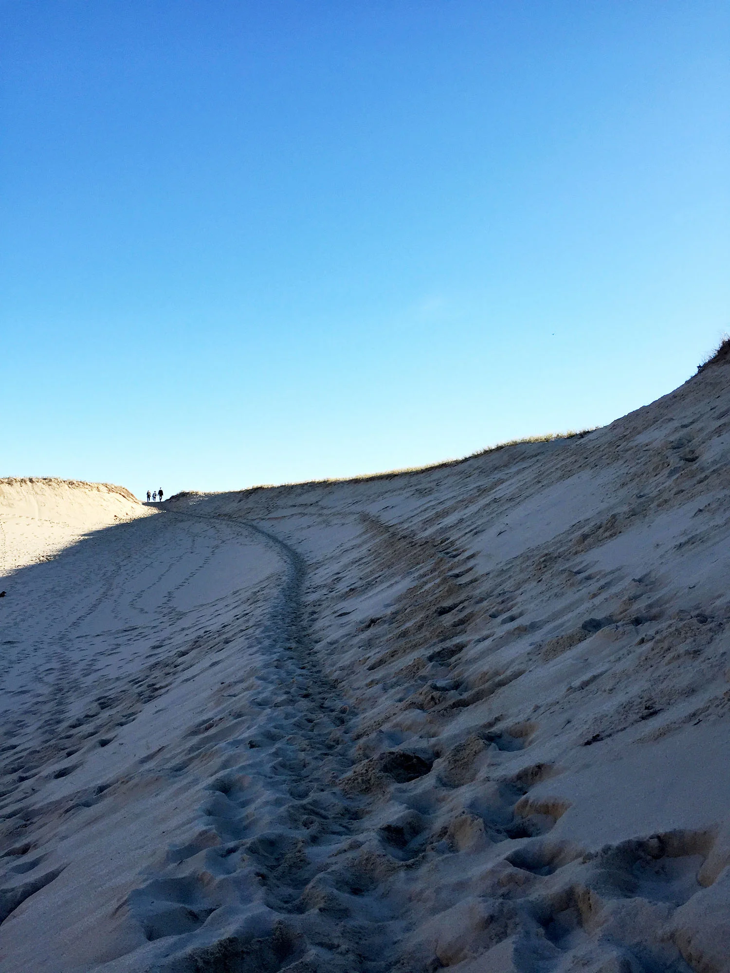 // barefoot walk through the sand dunes east of Provincetown, to the Atlantic shoreline