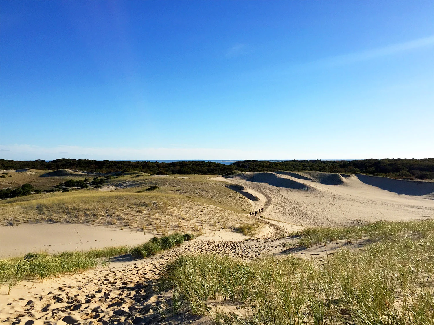 // sand dunes outside of Provincetown