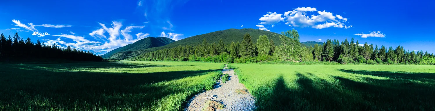 // First Night in British Columbia 