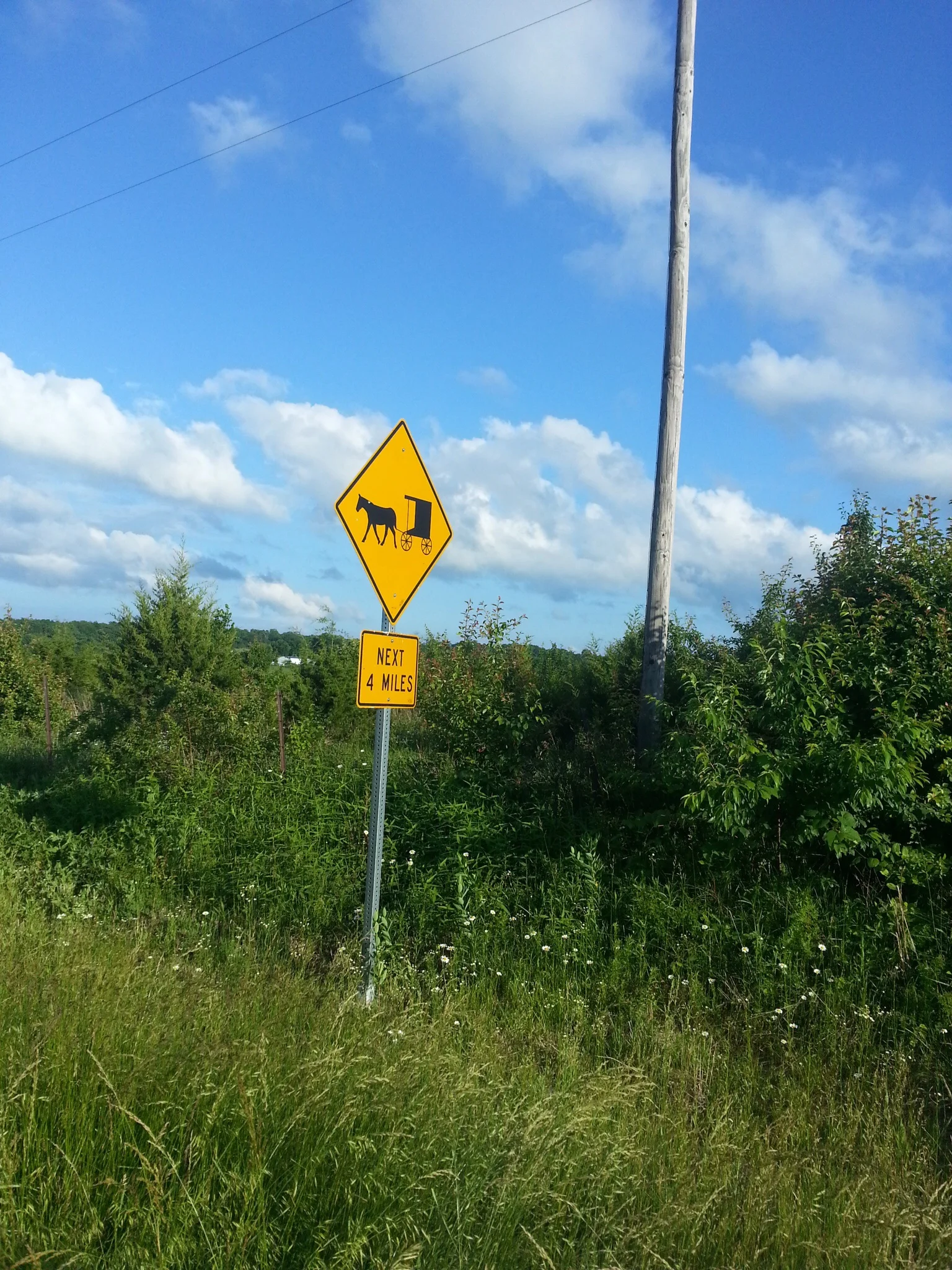 Is this sign trying to suggest that I hitch a buggy to the Mule? I'm already carrying enough, thank you very much.