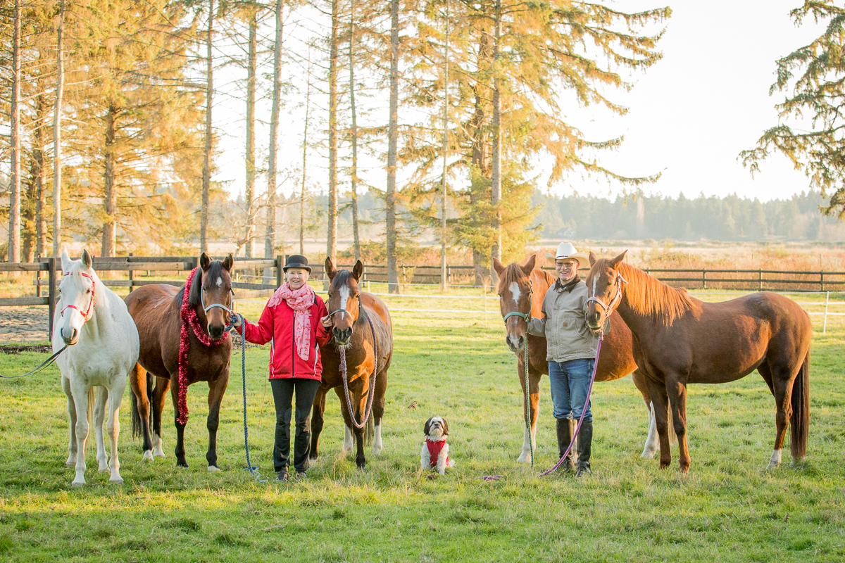 horses courtenay.jpg