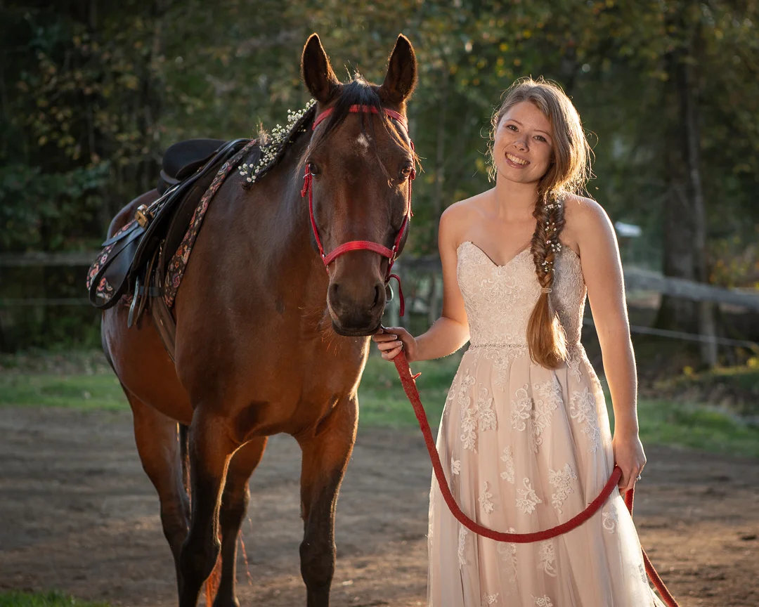 horse-1712.jpg