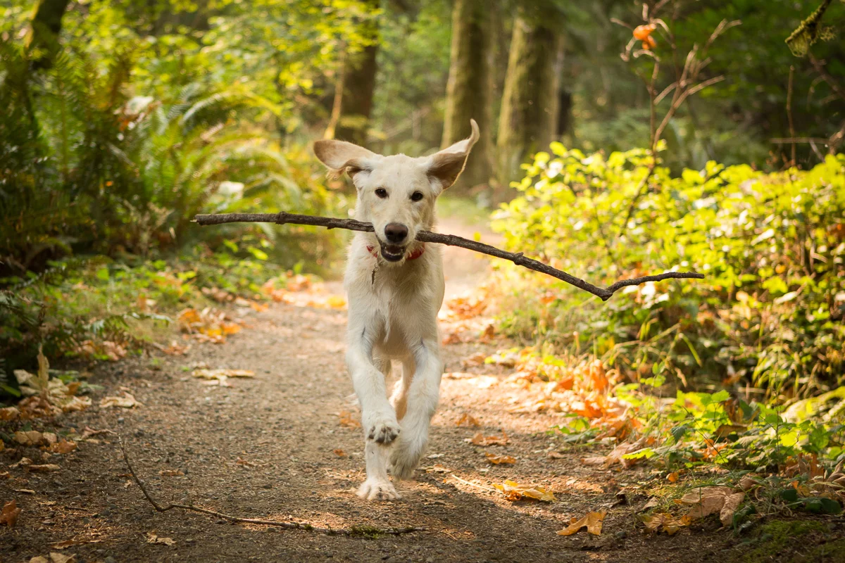 Sharon Snider Photography Comox Valley PhotographerBlog