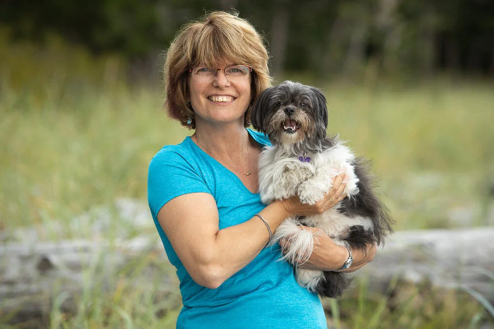 shih tzu-5.jpg