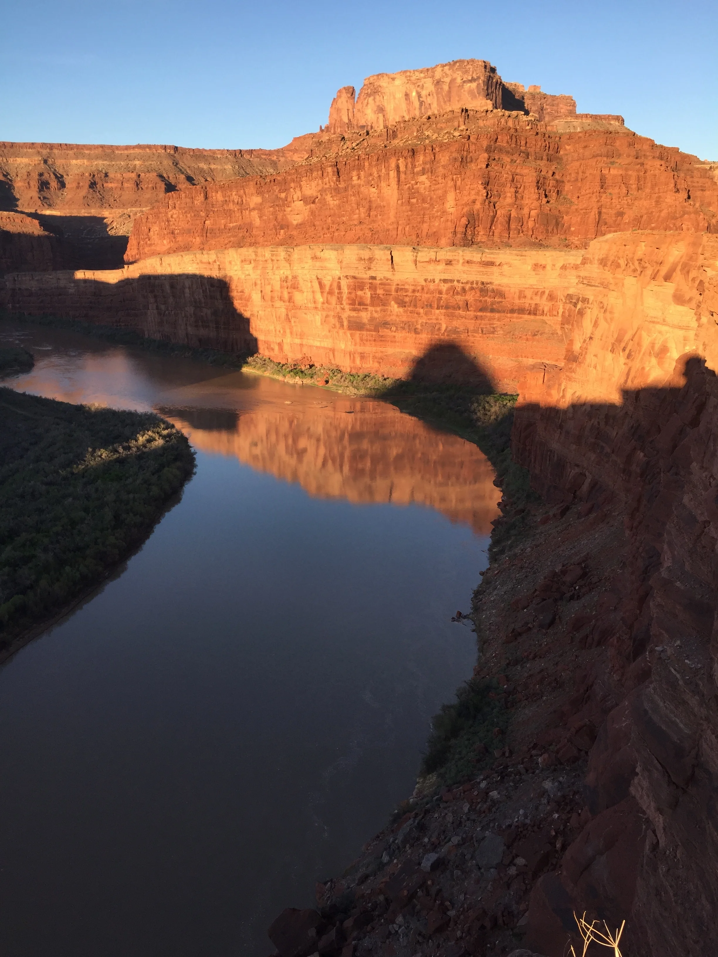 Some Minis are Maxis