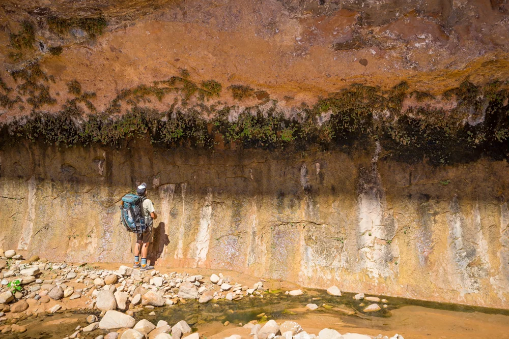 Inspecting a large weeping wall. Note the vegetation, which is flowering. 