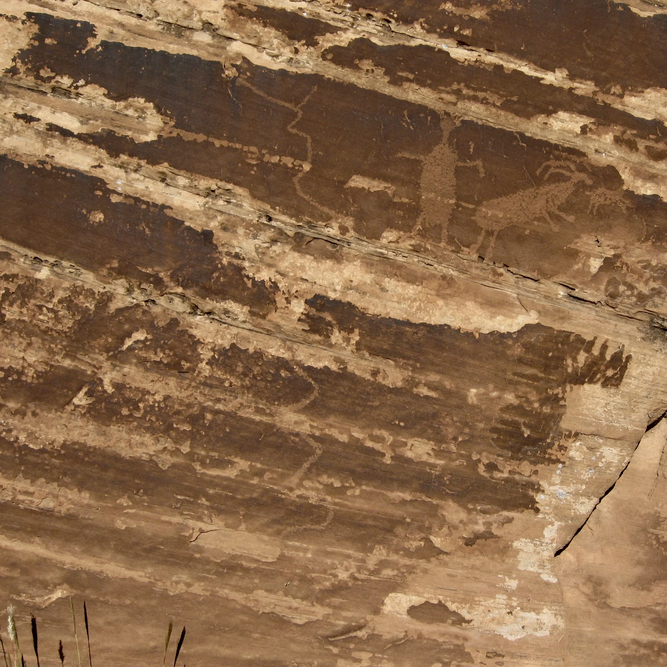 Petroglyph panel near the confluence view