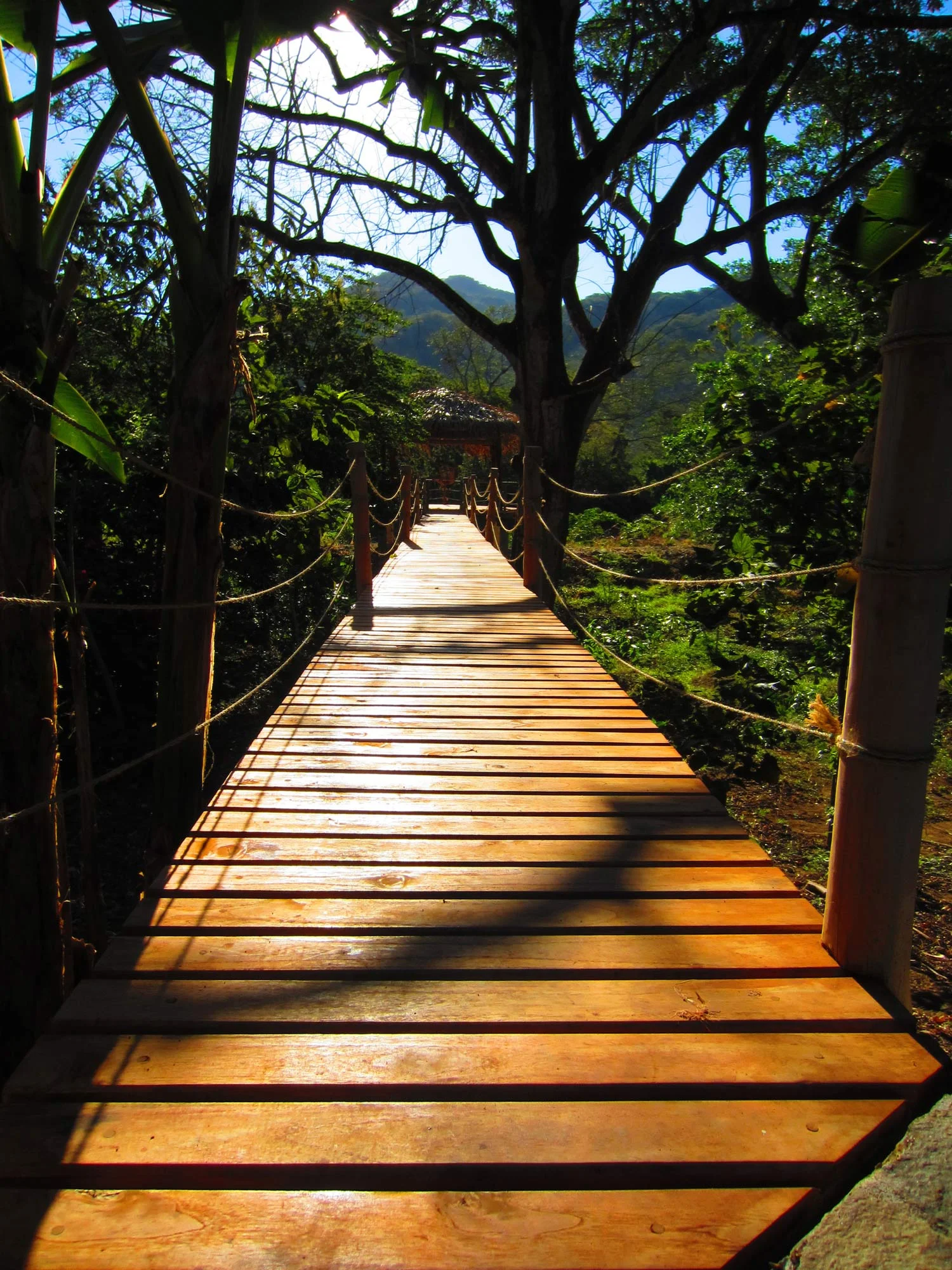 FincaAustria_JungleLodge-Rancho-8rs.jpg