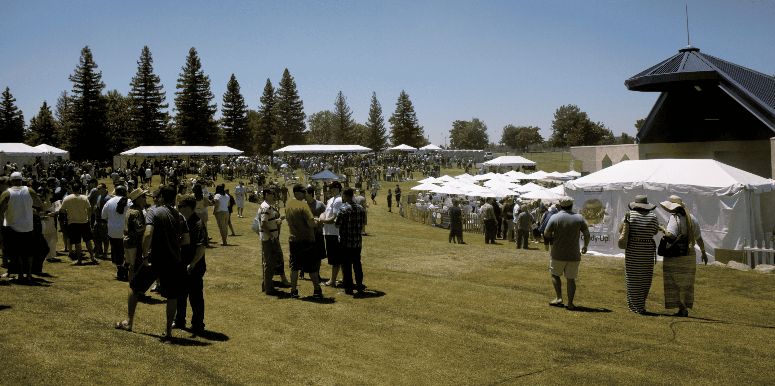 IMG_0067-cropped.gif