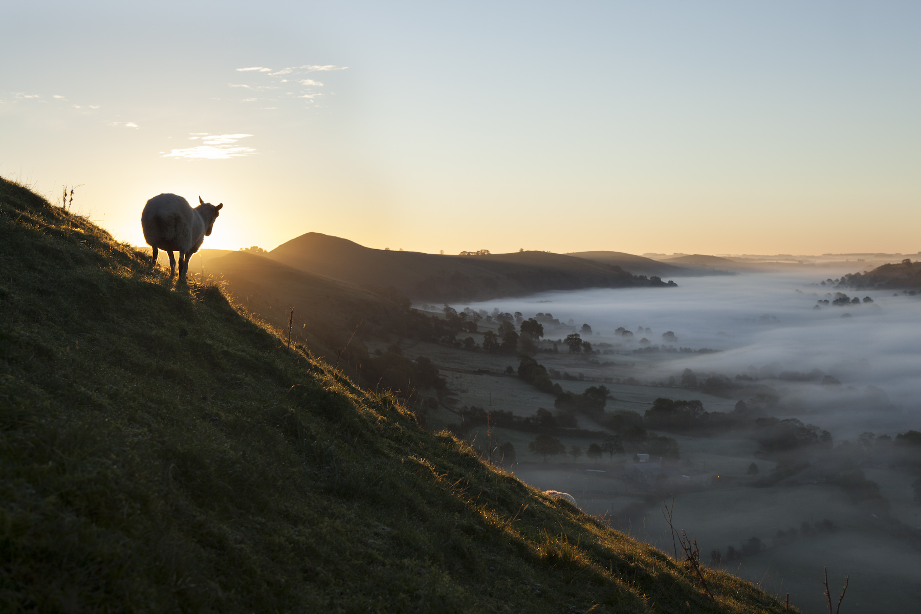 Parkhouse hill at dawn - Blog-5.jpg