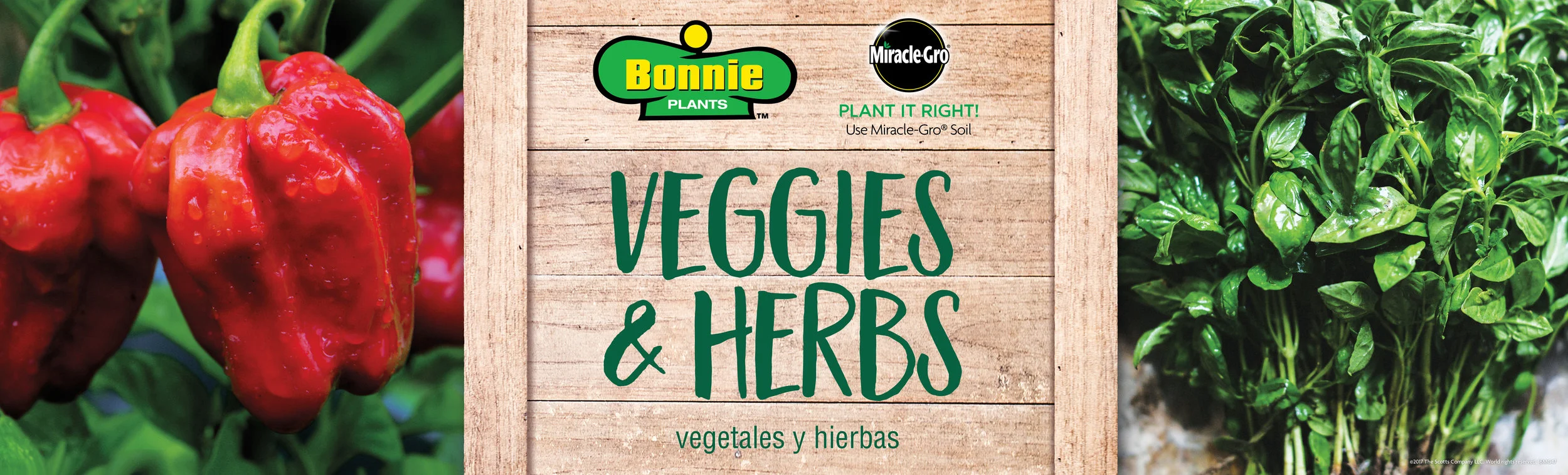 Bonnie Plants Signage Brigita Zabulionyte