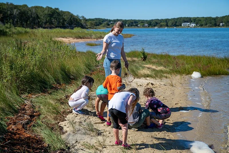 Every day is an adventure at Fern and Feather Preschool
