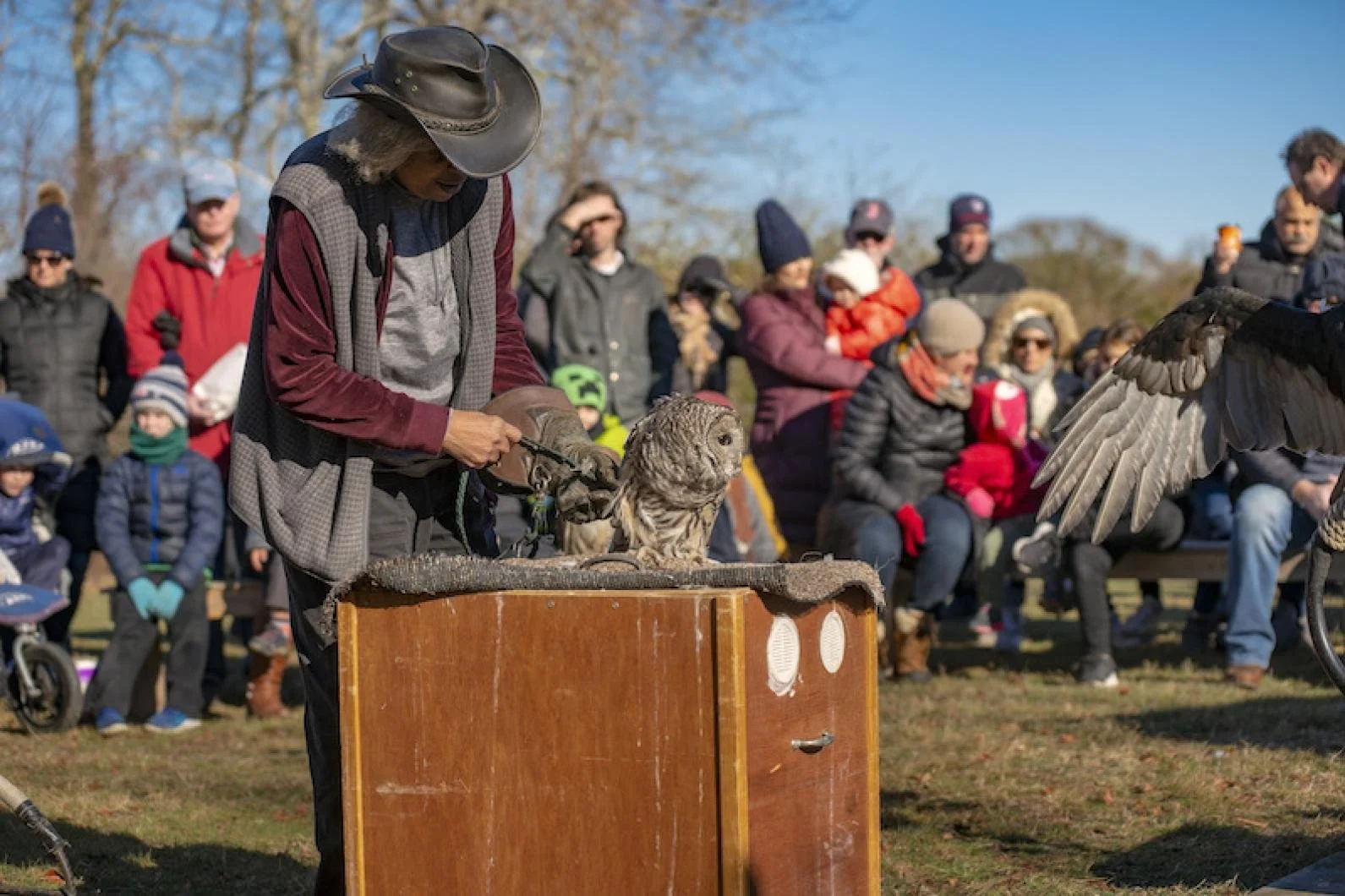 Hundreds Flock to Fall Festival at Felix Neck