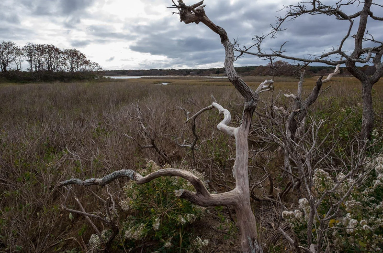 Sky's the Limit, But a Roof Helps Too