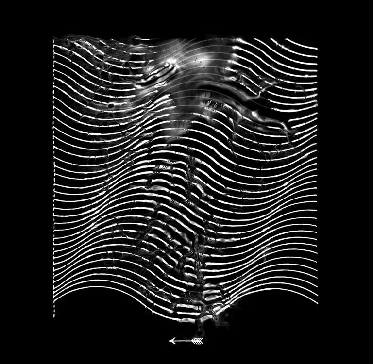 Full of Hell_Merzbow_2.jpg